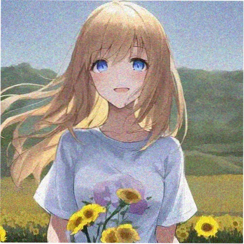樱花动漫观众星野拾光头像